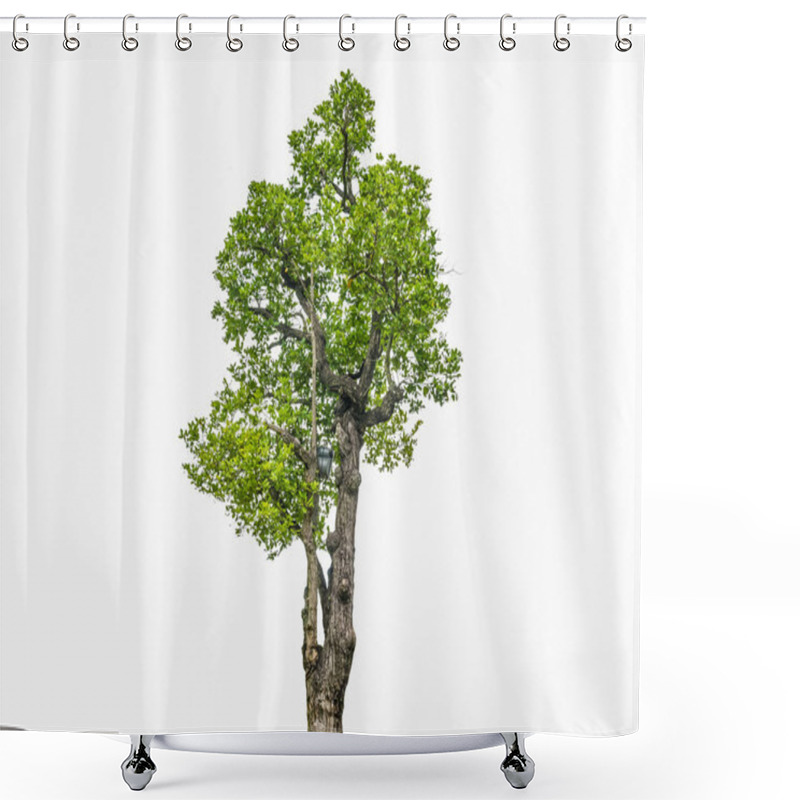 Personality  Trees Isolated Shower Curtains