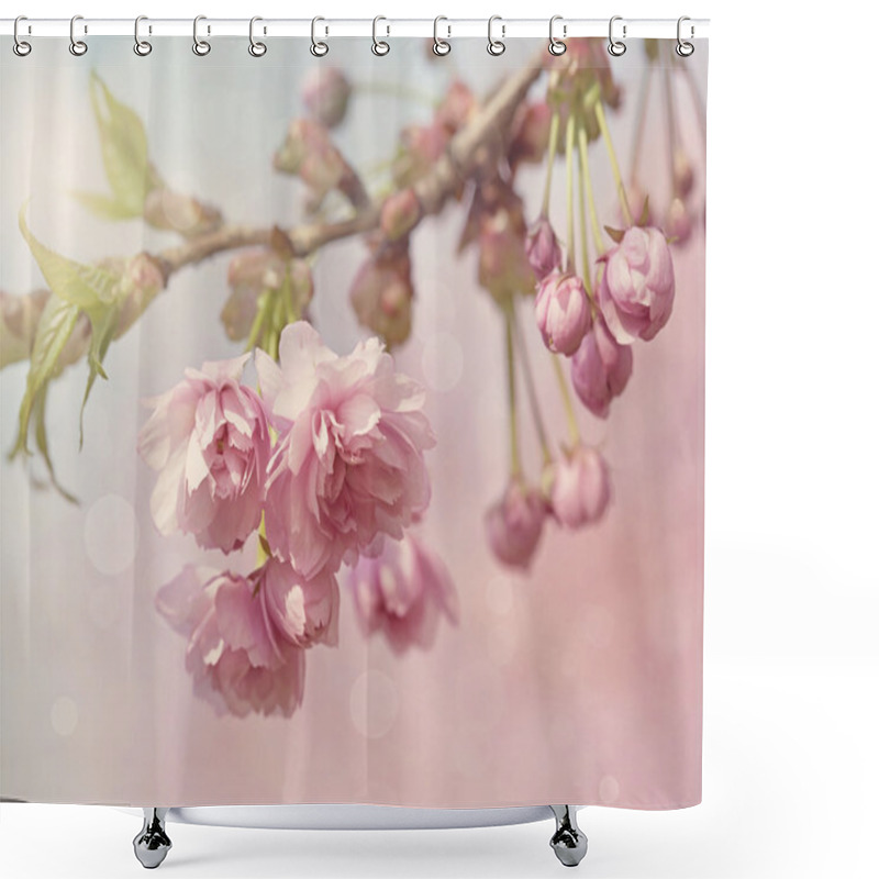 Personality  Pink Cherry Blossom Tree Shower Curtains