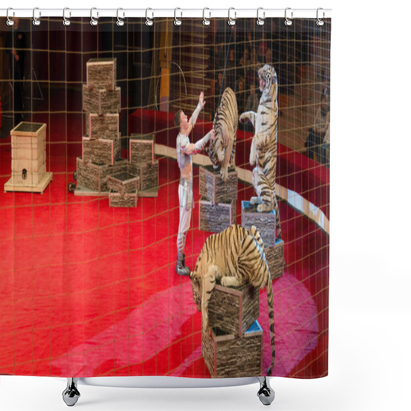 Personality  Tours Of Moscow Circus Of Nikulin. Attraction White Tigers Shower Curtains