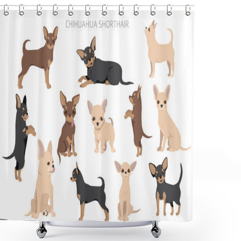 Personality  Chihuahua Dogs  In Different Poses. Adult And Puppy Set.  Vector Illustration Shower Curtains