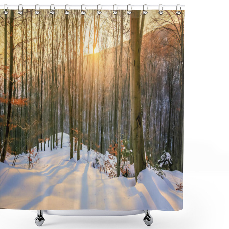 Personality  Winter In The Forest Shower Curtains