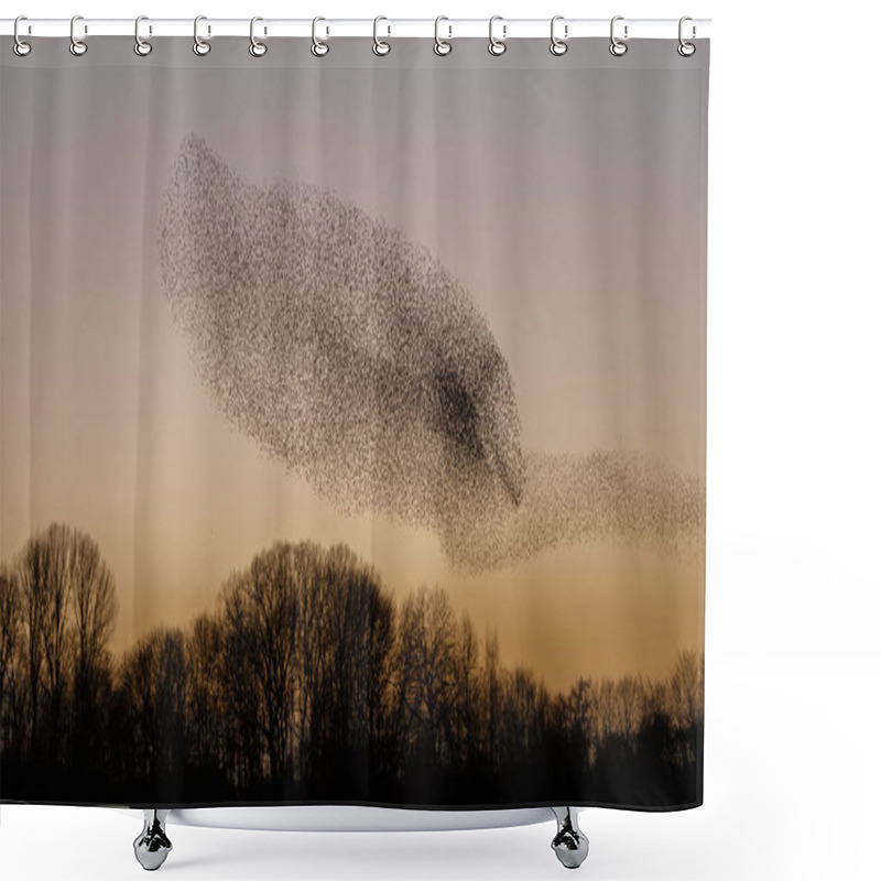 Personality  The Murmurations Of Starlings In Evening Light Shower Curtains