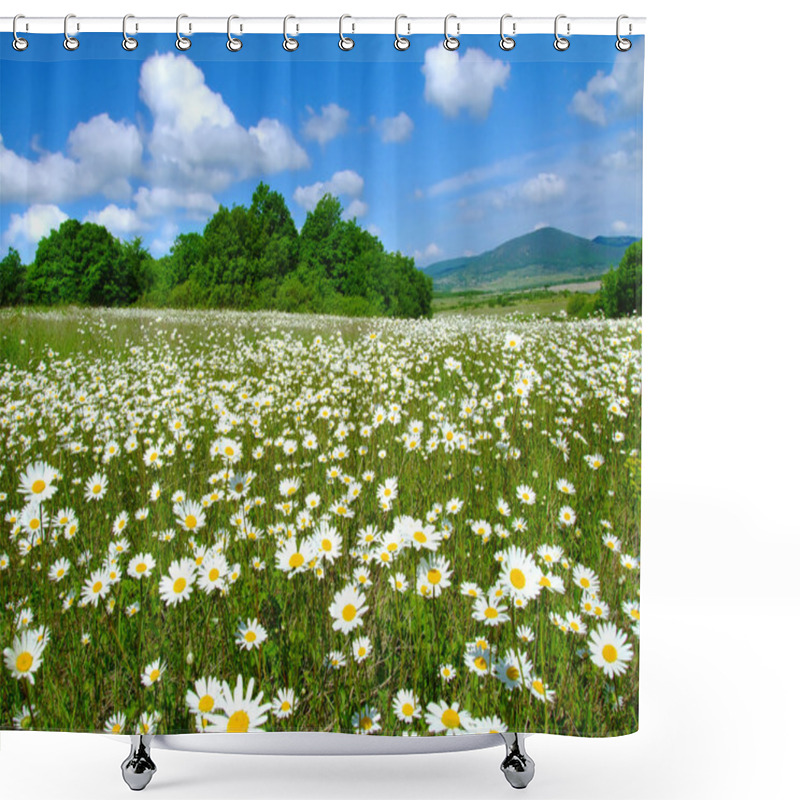 Personality  Idyllic Daisy Meadows Shower Curtains