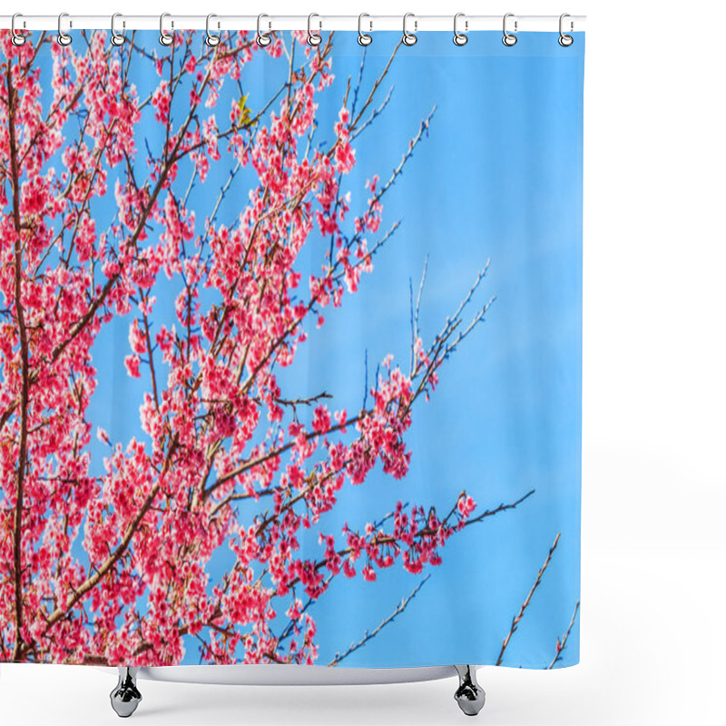 Personality  Cherry Blossoms Or Sakura Shower Curtains