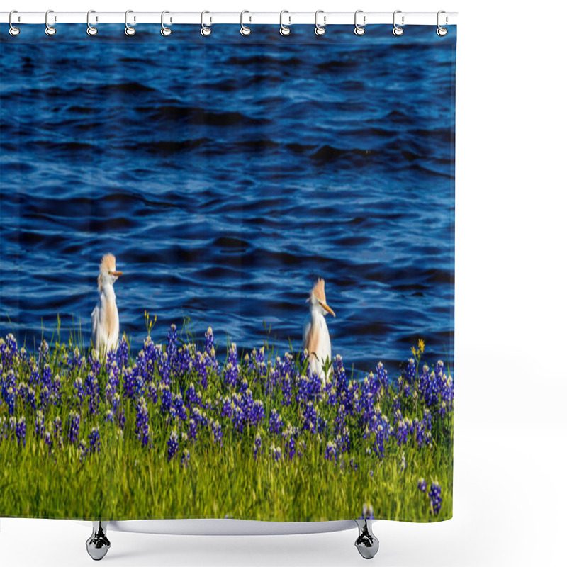 Personality  Egrets In Texas Bluebonnets At Lake Travis At Muleshoe Bend In T Shower Curtains