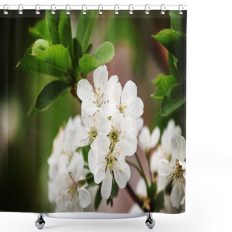 Personality  Spring Blooming Cherry  Shower Curtains