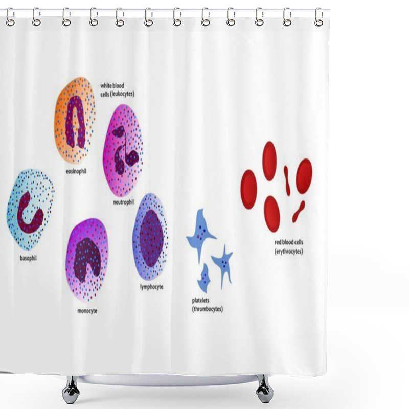 Personality  Blood Cells Shower Curtains