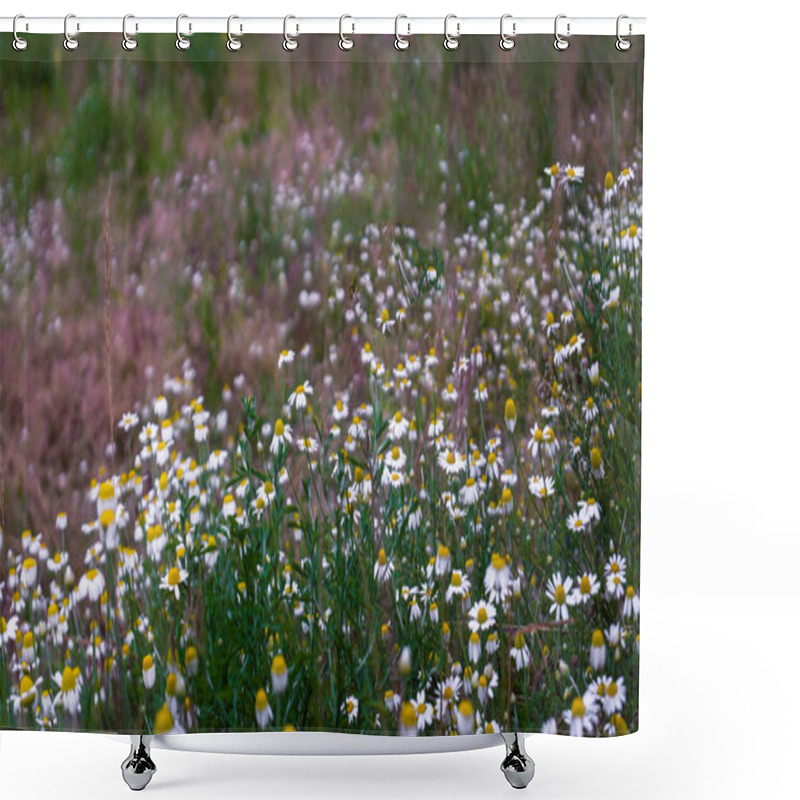 Personality  A Stunning Field Of Beautiful White Daisies In Full Bloom, Showcasing Their Vibrant Petals Against A Backdrop Of Lush Green Grass. Perfect For Nature And Floral Themes. Shower Curtains