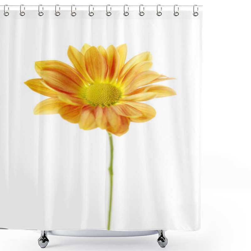 Personality  Orange Chrysanthemum Isolated On A White Background Shower Curtains