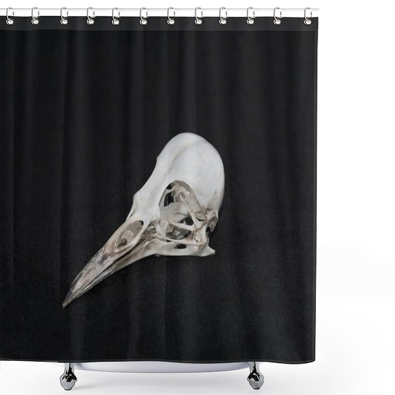 Personality  A Skull Of The Picinae Bird Shower Curtains