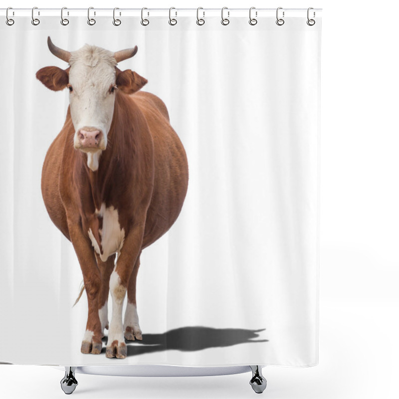 Personality  Cow Isolated On White Shower Curtains