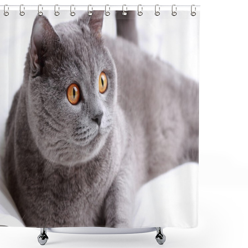 Personality  Adorable Cat Shower Curtains