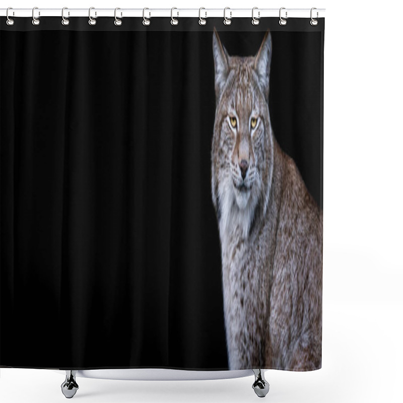 Personality  Template Of Lynx With A Black Background Shower Curtains