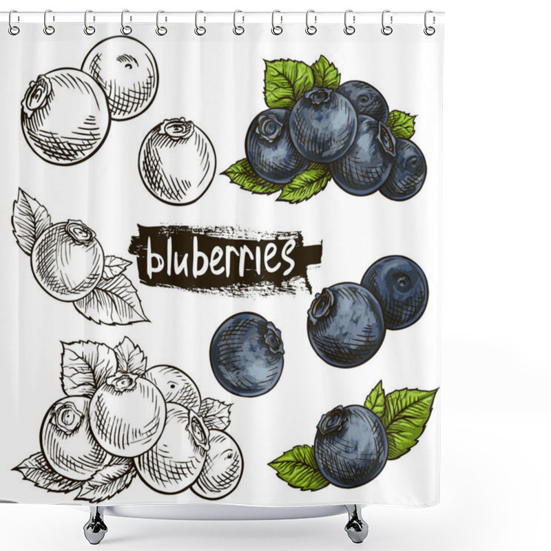 Personality  Blueberries. Hand Drawn Illustration. Wild Berries Set. Shower Curtains