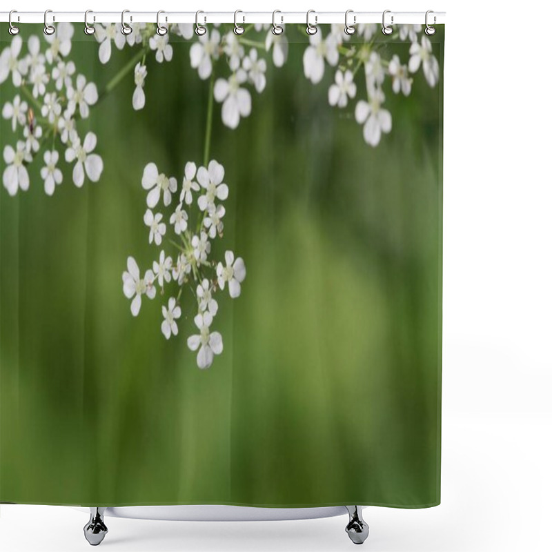 Personality  Macro Photo Of A Cow Parsley Plant Flower, Anthriscus Sylvestris Shower Curtains