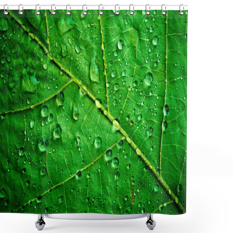 Personality  Green Leaf Shower Curtains