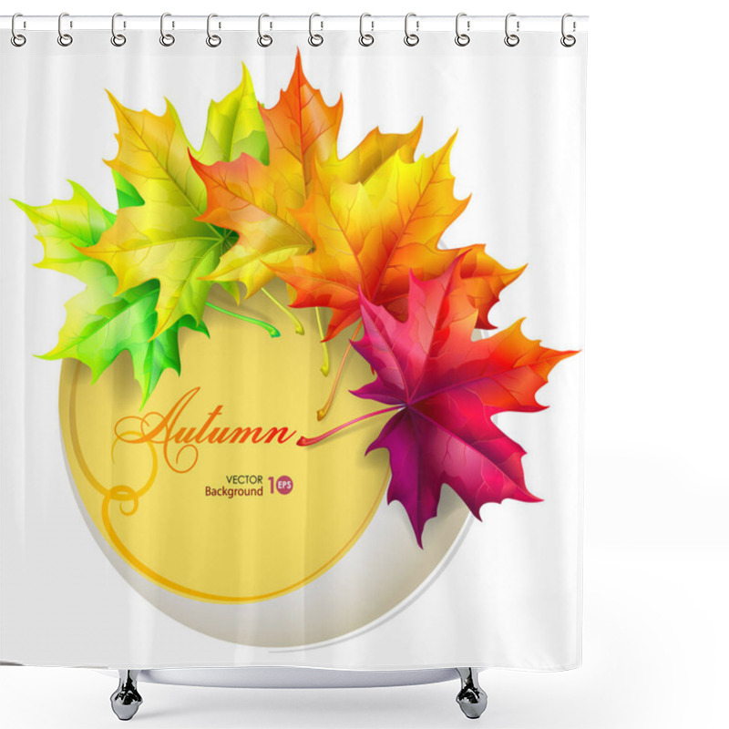 Personality  Set Of Autumn Leaves Of Maple. Shower Curtains