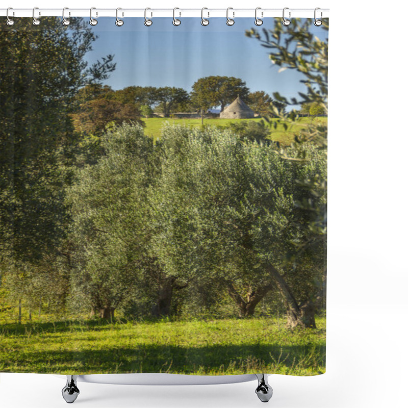 Personality   Italy Landscape: Apulia Countryside. Valle D'Itria. Hills With Olive Trees And Trullo. Typical Example Of Rural Apulian Landscape. Shower Curtains