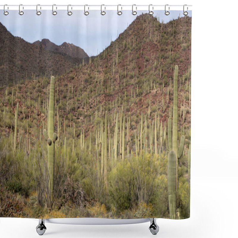 Personality  Saguaro National Park, Arizona, USA Shower Curtains