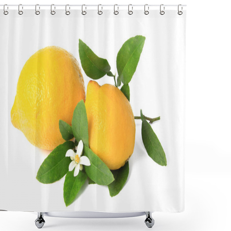 Personality  Lemons (citrus X Limon) - Ripe Fruit Isolated Against White Background With Branch And Blossom Shower Curtains