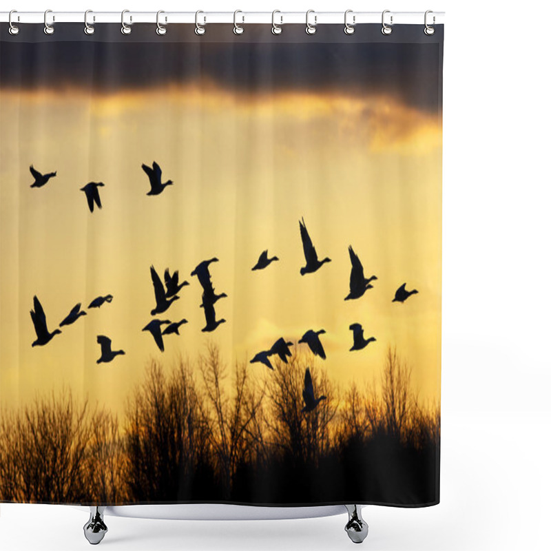 Personality  Snow Geese At Sunset Shower Curtains