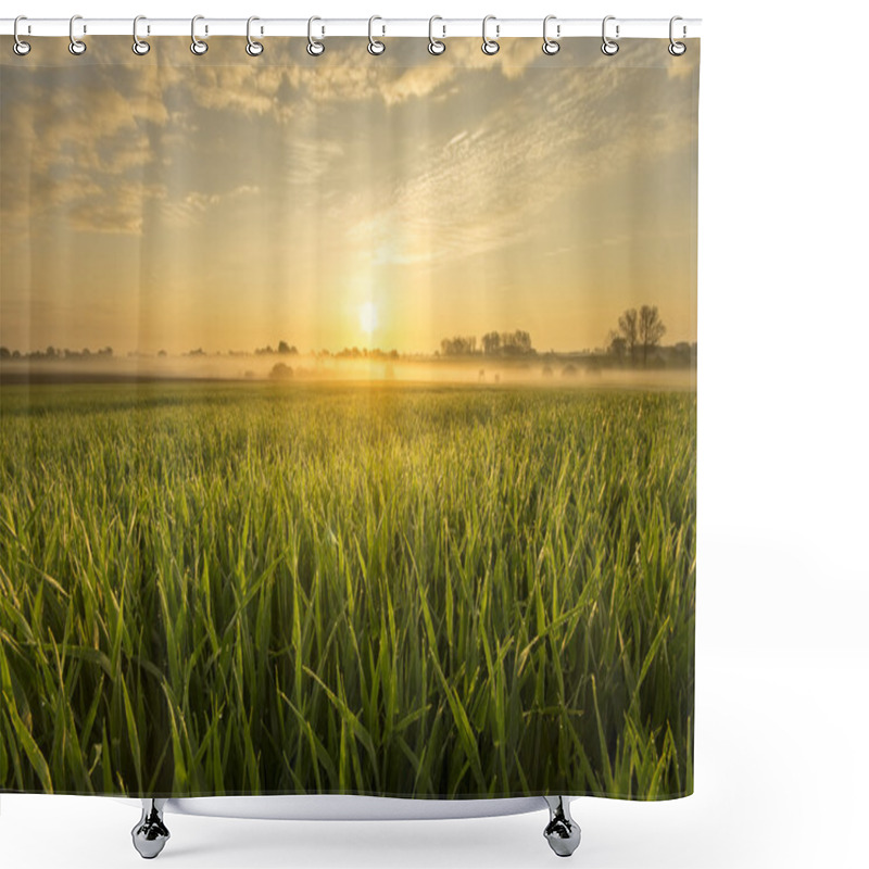 Personality  Summer Fields, Ripening Grain Crop Fields In Germany Shower Curtains