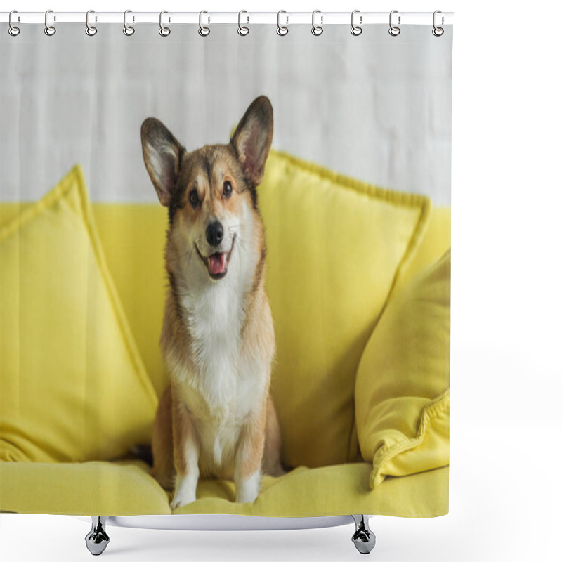 Personality  Cute Corgi Dog Sitting On Yellow Couch At Home And Looking At Camera Shower Curtains