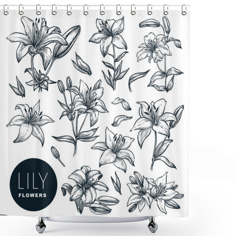 Personality  Lily Beautiful Blooming Flowers Set, Isolated On White Background. Vector Hand Drawn Sketch Illustration. Spring Or Summer Plants And Floral Nature Design Elements Shower Curtains