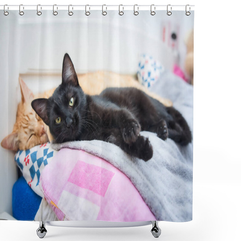 Personality  Two Cats Falling Asleep Together Shower Curtains