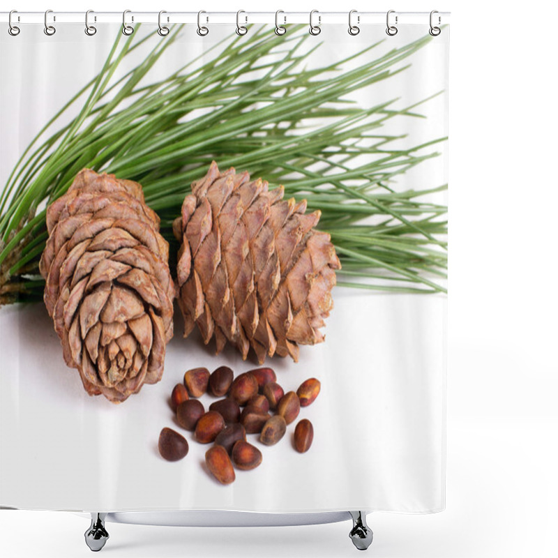 Personality  Cedar Cones With Nuts Shower Curtains