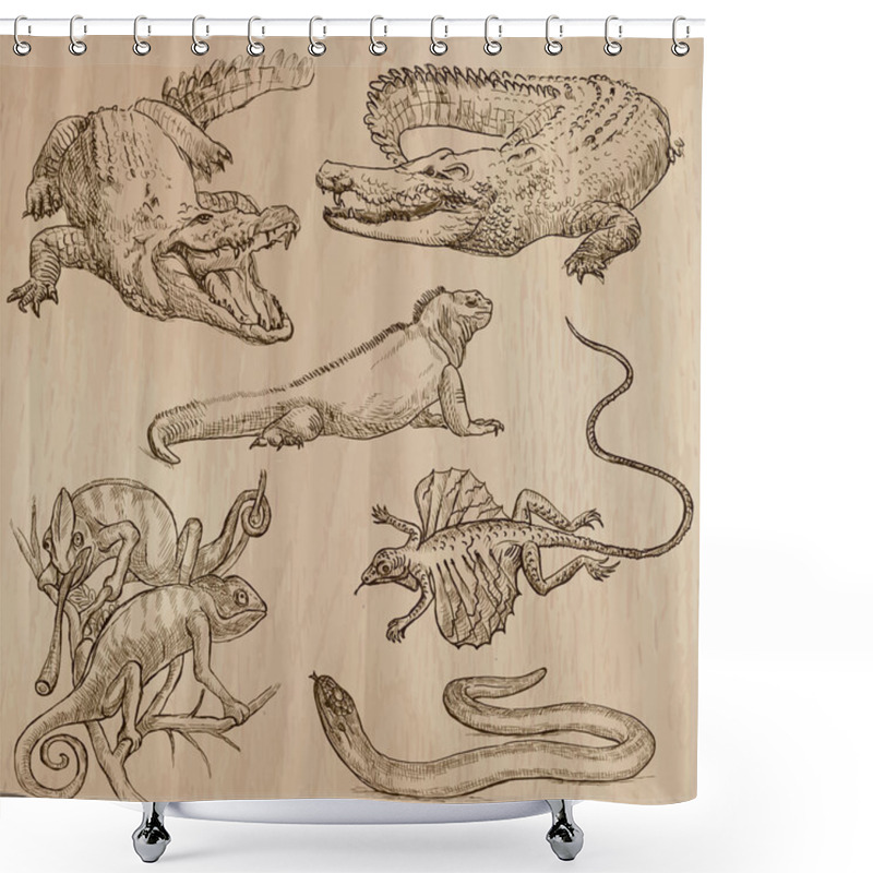 Personality  Lizards - An Hand Drawn Vector Pack Shower Curtains