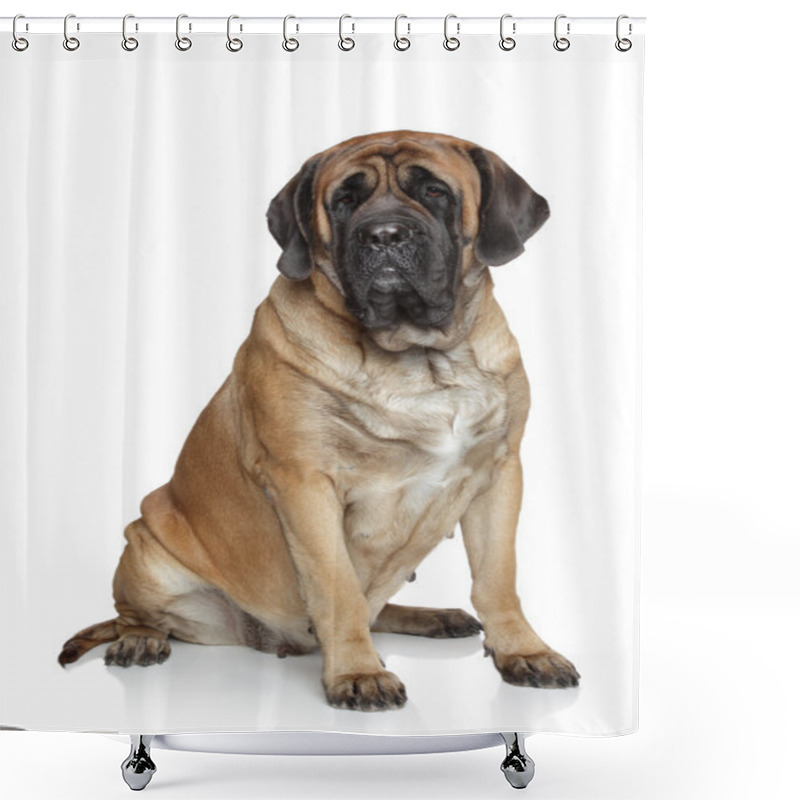 Personality  English Mastiff Dog Shower Curtains