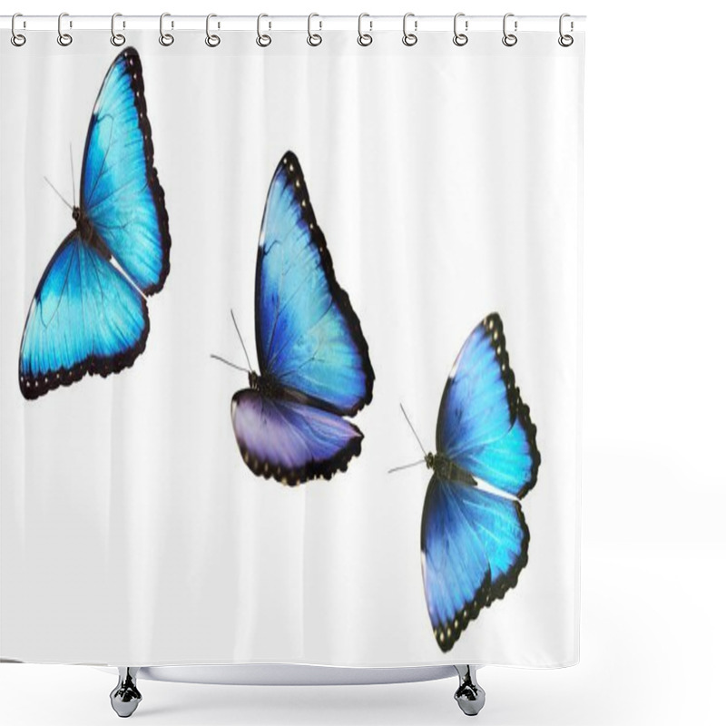 Personality  Three Flying Bright Male Blue Morpho Butterfly Isolated On White Background. Shower Curtains