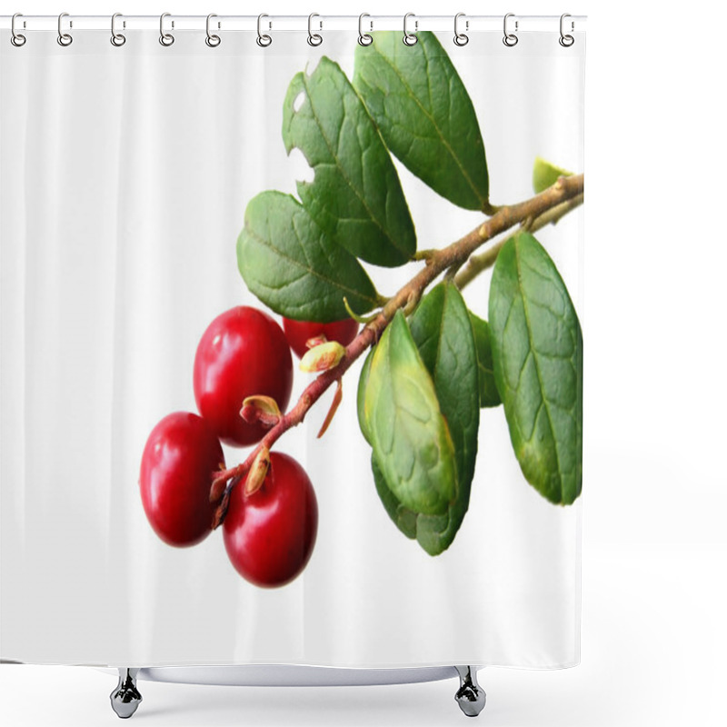 Personality  Cowberry Shower Curtains