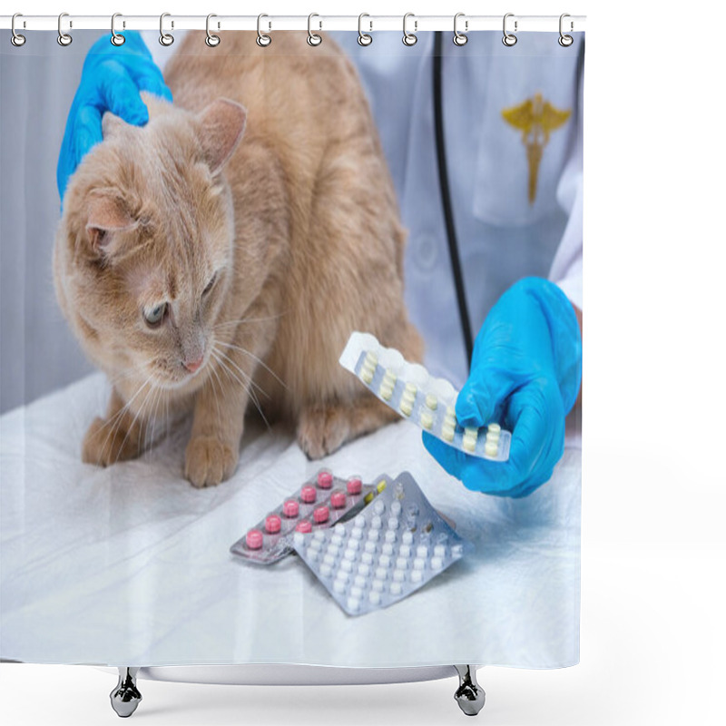 Personality  A Red Cat At The Vet. Examination And Treatment Of Pets. The Concept Of Medicine For Pets. At The Vet's Appointment Shower Curtains