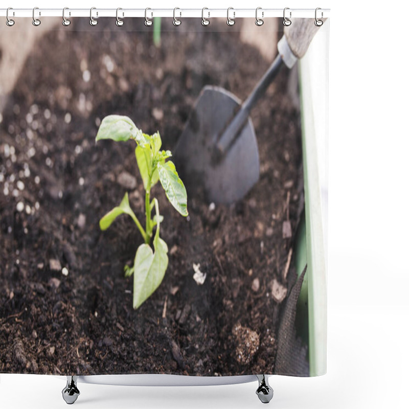 Personality  Small Bell Pepper Seedling In The Soil Next To A Trowel Shower Curtains