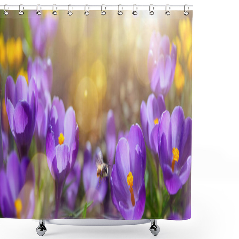 Personality  Beautiful Spring Background. Blossom Spring Flowers On Morning S Shower Curtains