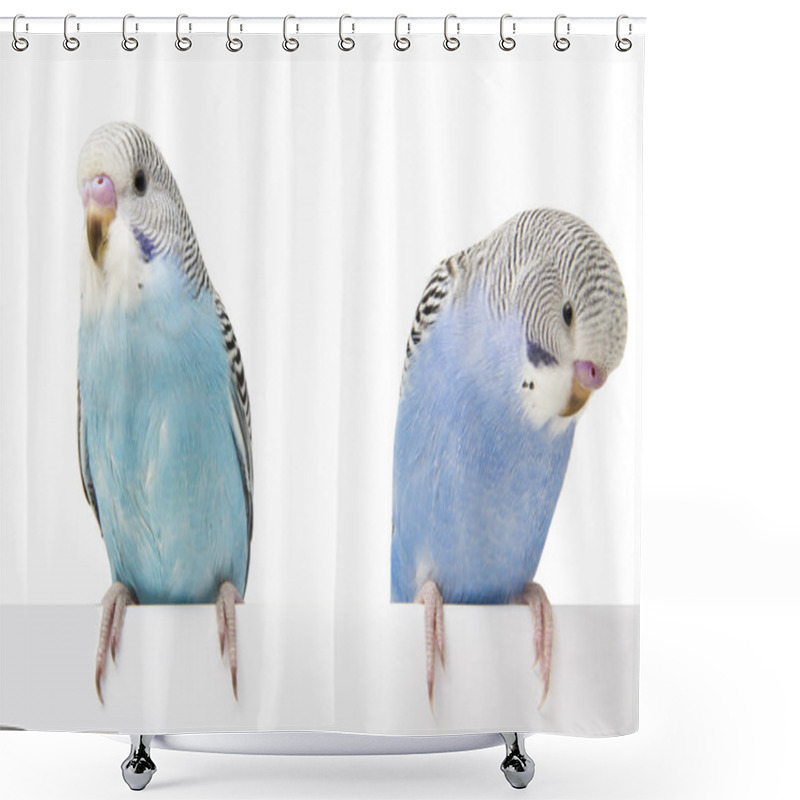 Personality  Two Birds Are On A White Background Shower Curtains