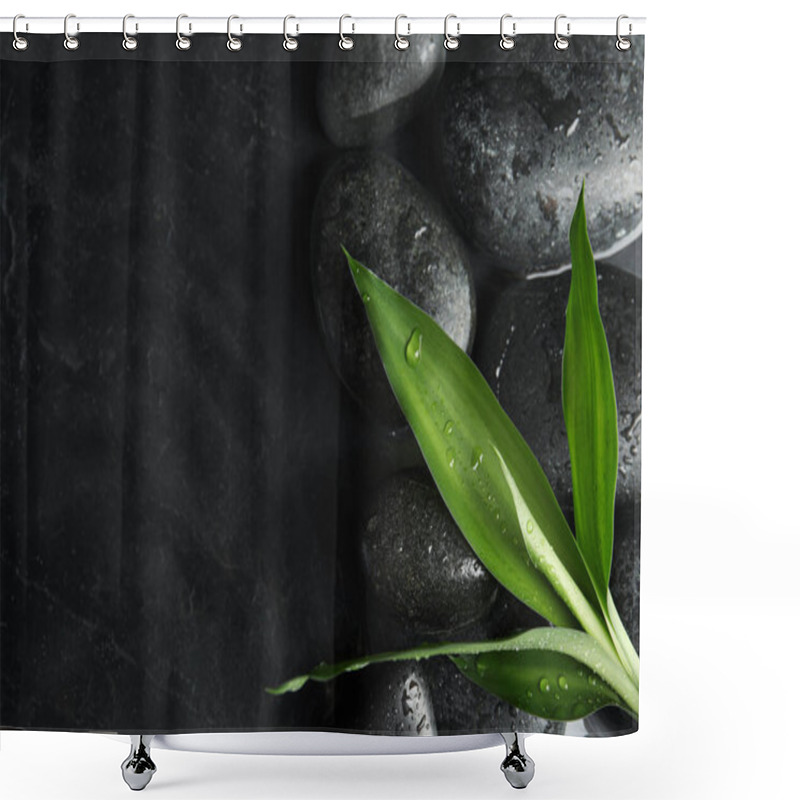 Personality  Stones And Bamboo Sprout In Water On Dark Background, Flat Lay With Space For Text. Zen Lifestyle Shower Curtains