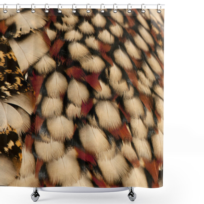 Personality  Close-up Of Cabot's Tragopan Feathers, Tragopan Caboti Shower Curtains