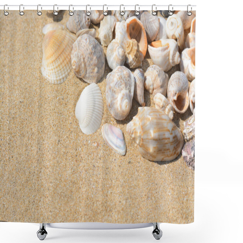 Personality  Many Beautiful Sea Shells On Sand, Closeup. Space For Text Shower Curtains