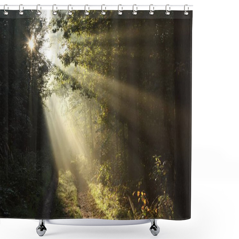 Personality  Sun Rays Fall Through The Oaks Into The Autumn Forest Surrounded By Morning Fog Shower Curtains