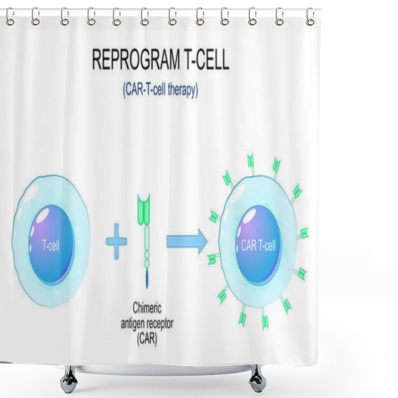 Personality  CAR-T-cell Cancer Therapy. Process Of A T Cell Reprogramming. Immunotherapy Of A Chimeric Antigen Receptor CAR. Cancer Treatment. Genetic Engineering. Vector Illustration Shower Curtains