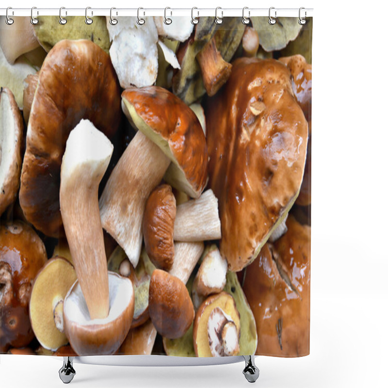 Personality  Various Edible Mushrooms Shower Curtains