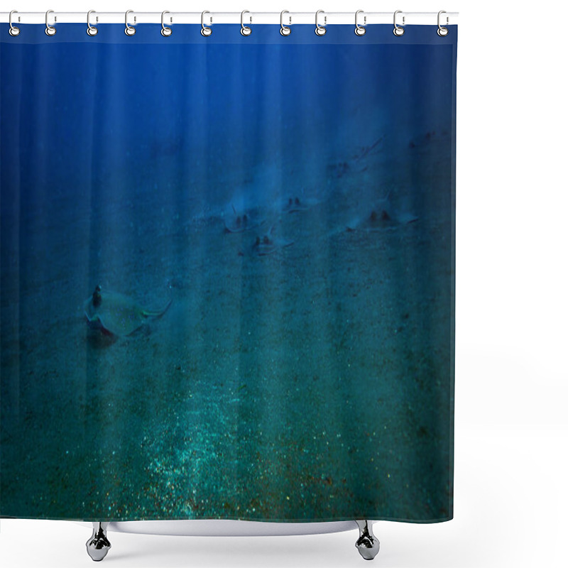 Personality  Blue Spotted Stingray Near Bali Island Shower Curtains