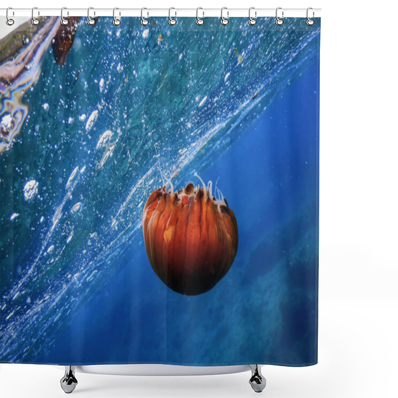 Personality  Red Jellyfish In The Blue Water, Wildlife Shower Curtains