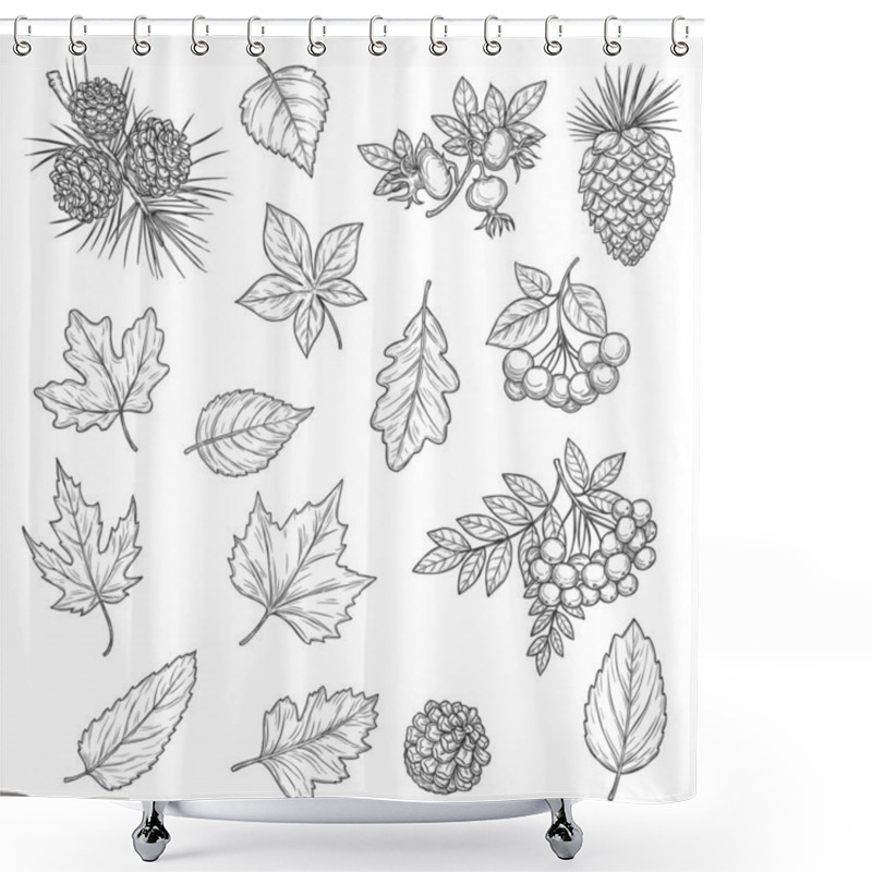 Personality  Autumn Leaf And Fruit Sketches. Vector Fall Leaves Of Maple Tree, Oak And Birch, Chestnut Foliage, October Acorn, Rowan And Briar Berries, Branches With Pinecone And Needles, Nature Season Themes Shower Curtains