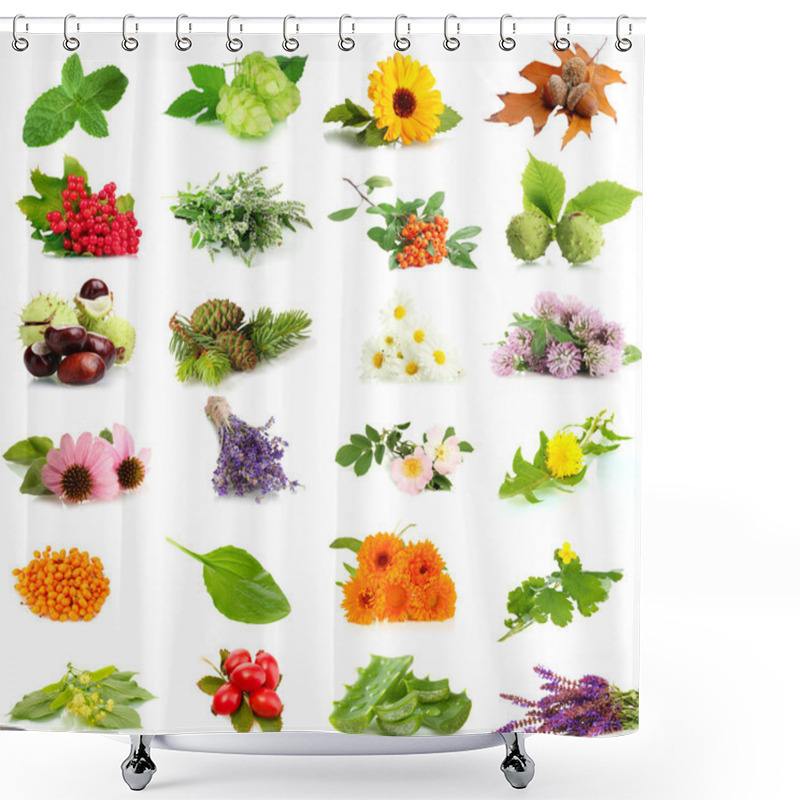 Personality  Collage Of Herbs And Plants Isolated On White Shower Curtains