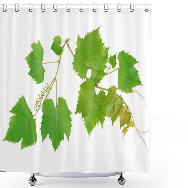 Personality  Vine Leaves Shower Curtains