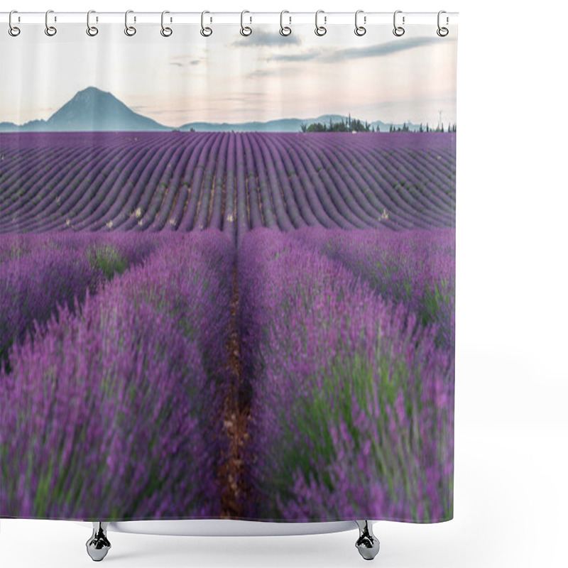 Personality  Capture The Breathtaking Beauty Of Lavender Fields In Provence, France, Basking In The Soft Morning Light. Shower Curtains